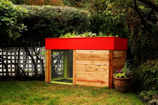  Chicken Coop Structure (as a conversion into a Tiny House Design