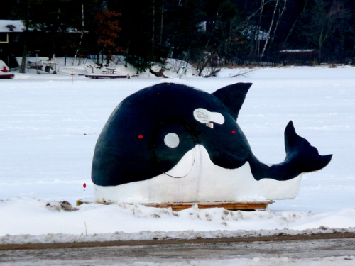 whale shaped house
