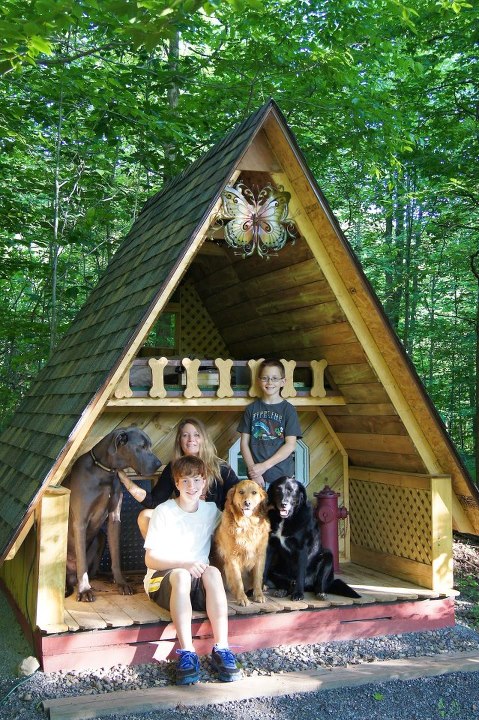 A giant doghouse as a tiny house??? Relaxshax's Blog